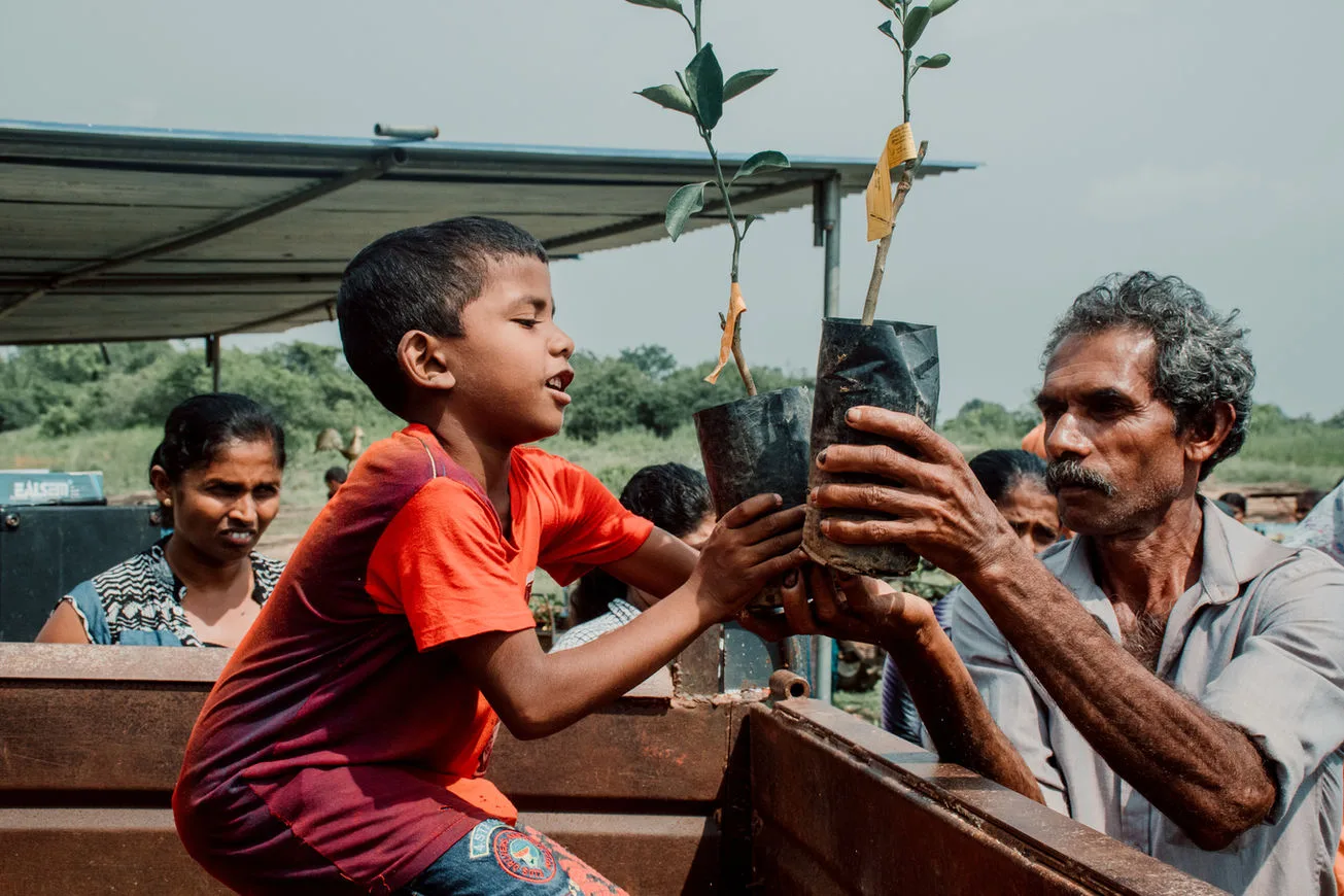 A child and farmer with young citrus plants in the SLWCS project archive